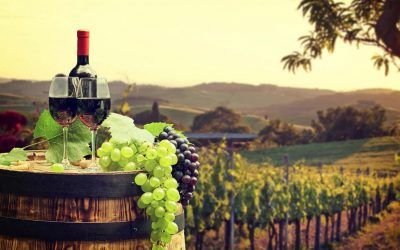 FP&A Manager search for a wine business based in Napa, CA