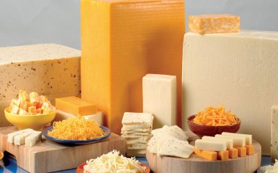Reliability excellence manager search for multi-billion-dollar cheese manufacturer