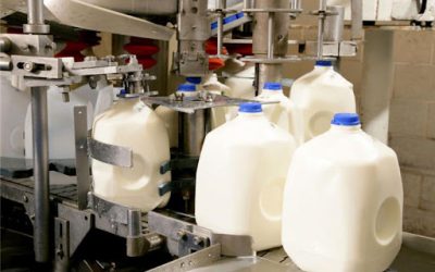 Director of Demand Planning at multi-billion-dollar dairy producer