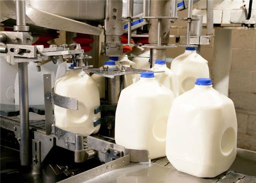 Director of Demand Planning at multi-billion-dollar dairy producer