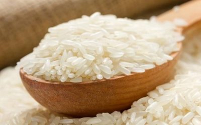 Controller search for privately held rice milling business in California