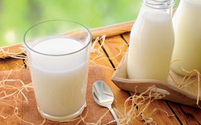 Human Resource Manager search for a dairy processor in Ohio