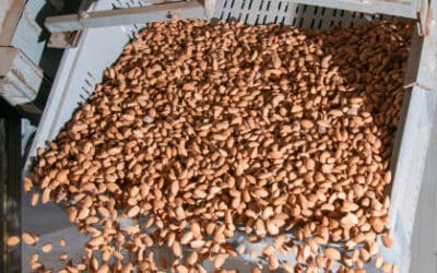 Finance Director search for family owned nut processor