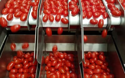 HR Manager at vertically integrated food processor in the Central Valley