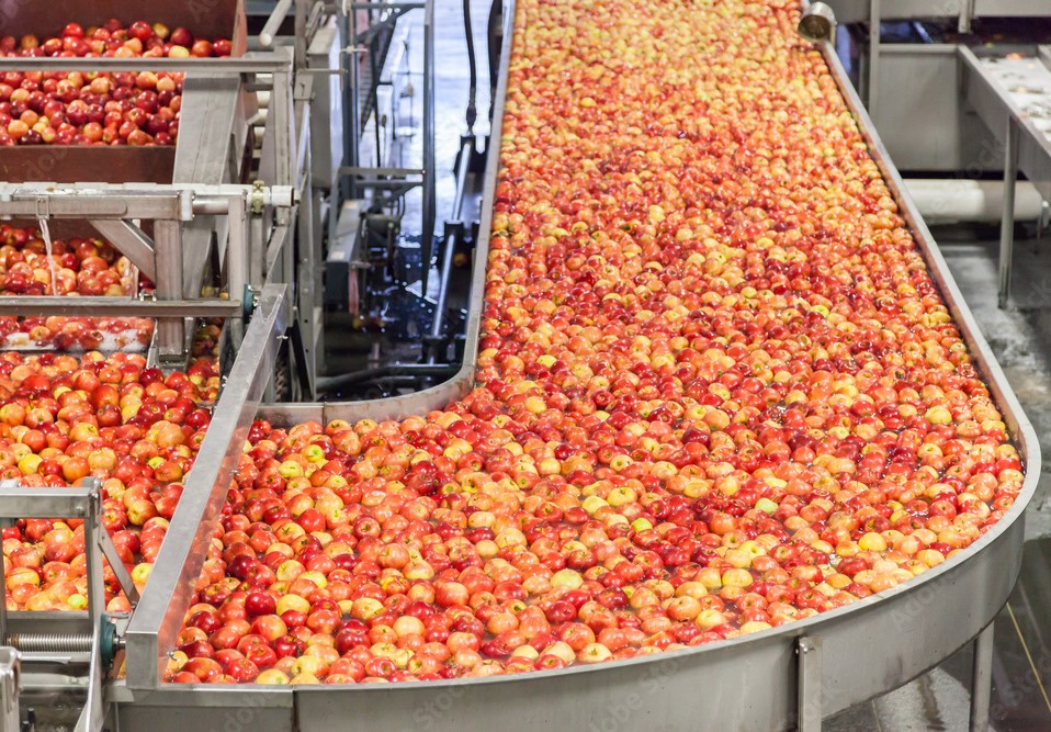 CFO search for 1,000-employee grower-owned fruit cooperative in Pennsylvania