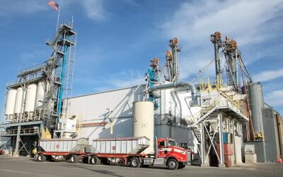 Chief People Officer search for a family-owned food manufacturer in California