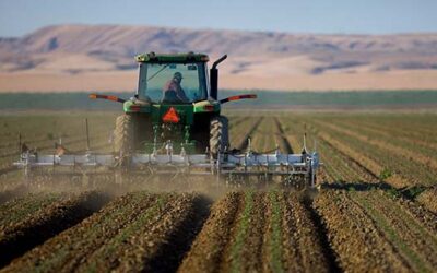 Human Resources Manager search for a family-owned agribusiness in the Central Valley of California
