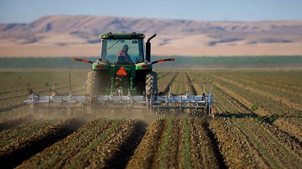 Human Resources Manager search for a family-owned agribusiness in the Central Valley of California