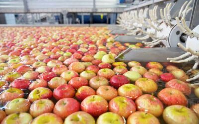 Controller search for a 100-year-old grower-owned cooperative in Washington