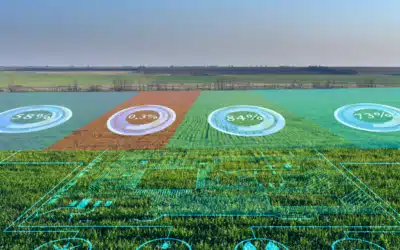 Director of BI & Business Transformation Search for a Multi-Generation Agribusiness