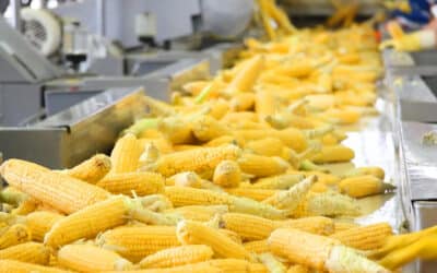 VP Value Added Operations search for a 100-year-old, family-owned fresh produce business
