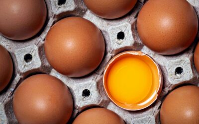 Director of Sales search for Weaver Eggs